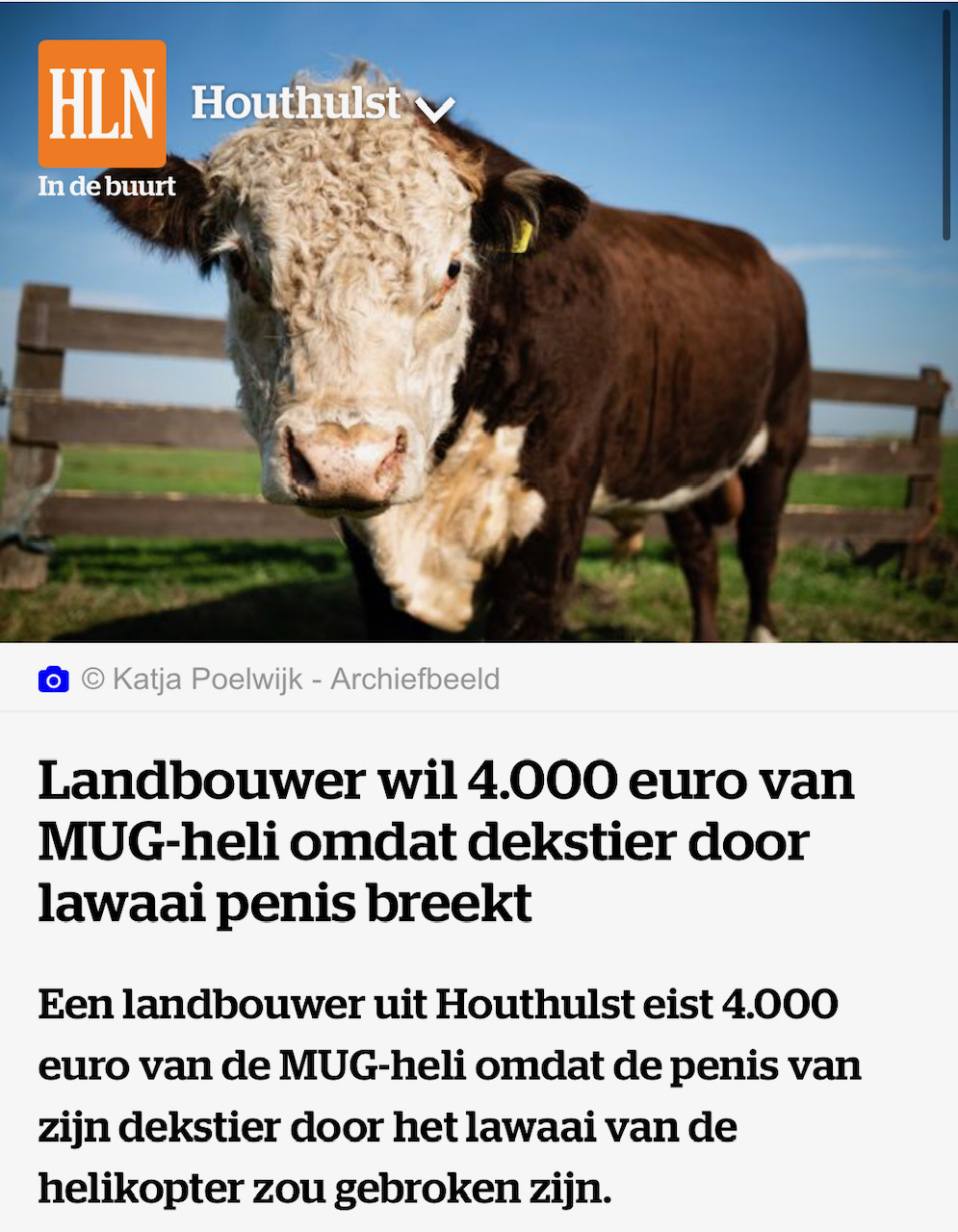 Landbouwer wil 4.000 euro van MUG-heli omdat dekstier door lawaai penis breekt